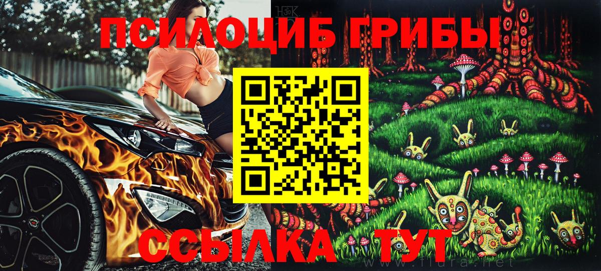 Псилоцибиновые грибы мицелий Урай
